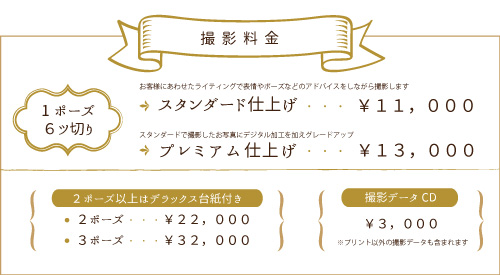 ヒューマンポートレイト価格